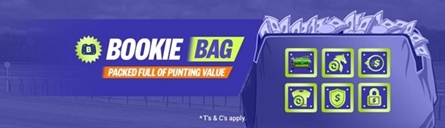 Bookie Bag Palmerbet